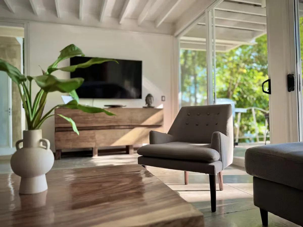 Reading corner with armchair and plants