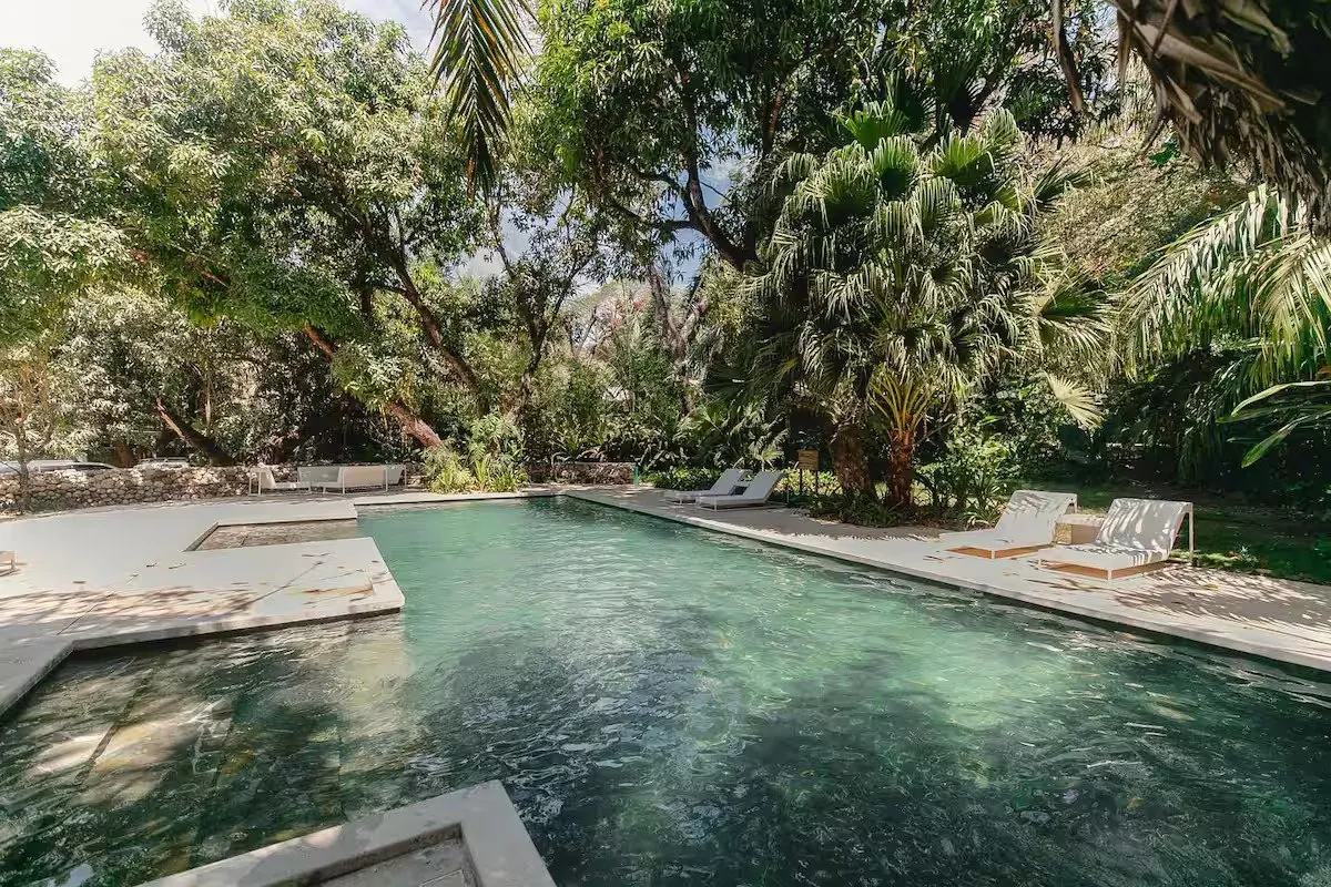 The pool seen from its far end, framed by palms